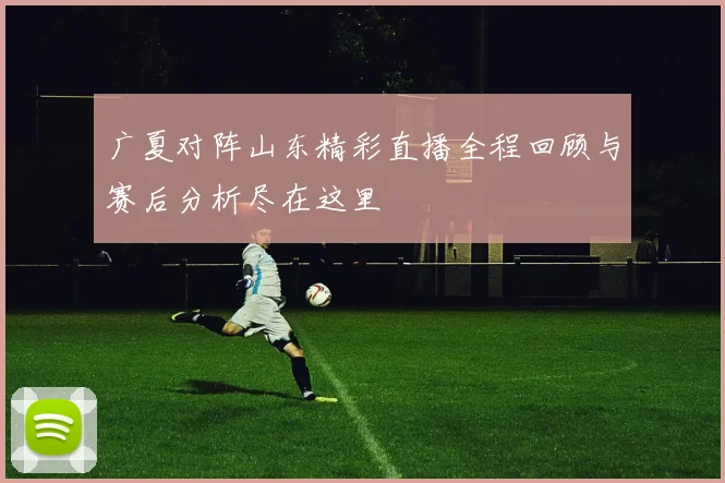 广夏对阵山东精彩直播全程回顾与赛后分析尽在这里