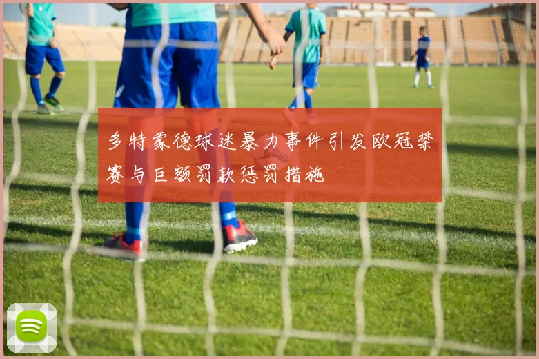 多特蒙德球迷暴力事件引发欧冠禁赛与巨额罚款惩罚措施