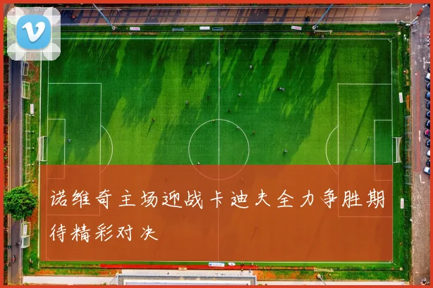 诺维奇主场迎战卡迪夫全力争胜期待精彩对决