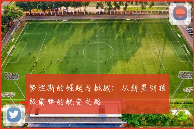 努涅斯的崛起与挑战：从新星到顶级前锋的蜕变之路