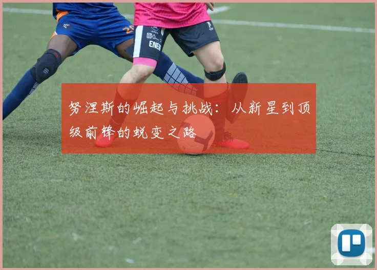努涅斯的崛起与挑战：从新星到顶级前锋的蜕变之路