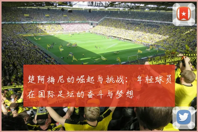 楚阿梅尼的崛起与挑战：年轻球员在国际足坛的奋斗与梦想