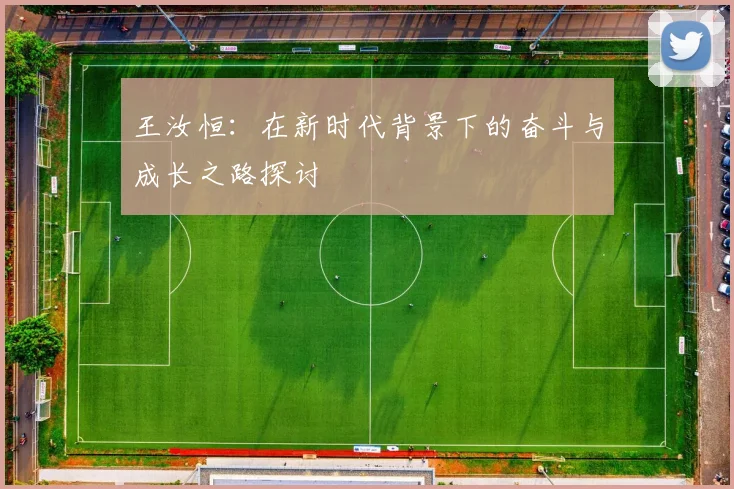 王汝恒：在新时代背景下的奋斗与成长之路探讨