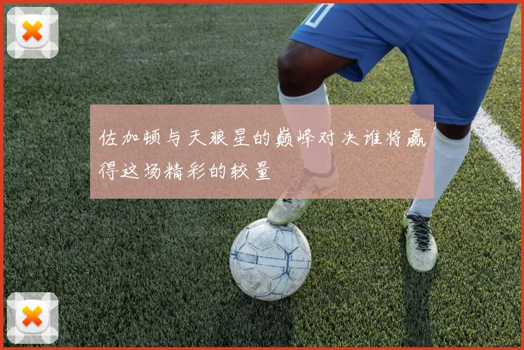 佐加顿与天狼星的巅峰对决谁将赢得这场精彩的较量