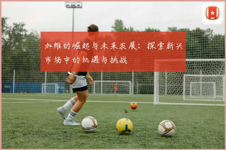 加维的崛起与未来发展：探索新兴市场中的机遇与挑战