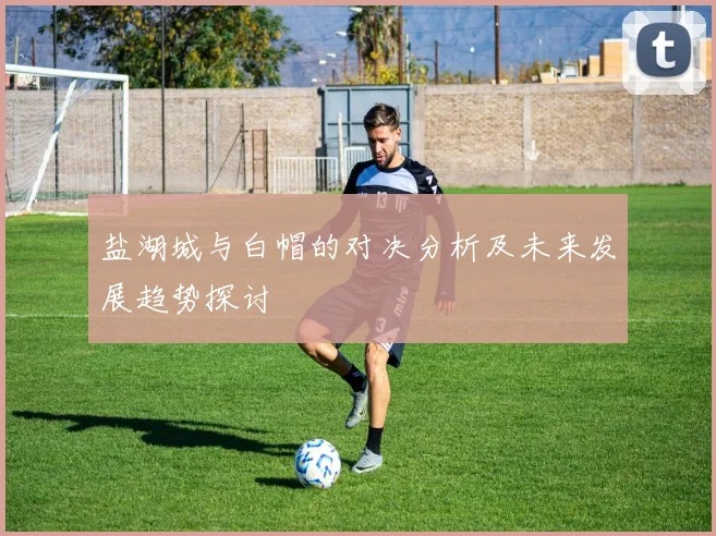 盐湖城与白帽的对决分析及未来发展趋势探讨